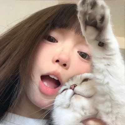 凶猫